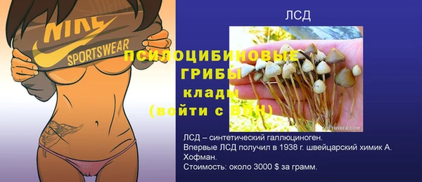 МДПВ Новодвинск