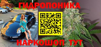 a pvp Волжск
