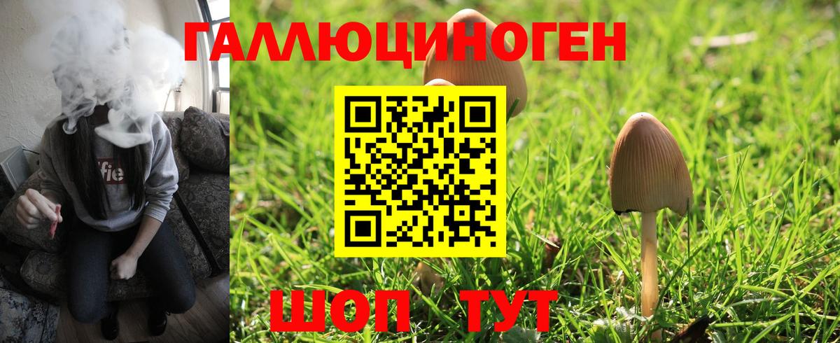 Псилоцибиновые грибы GOLDEN TEACHER  Вход с VPN  Лянтор 