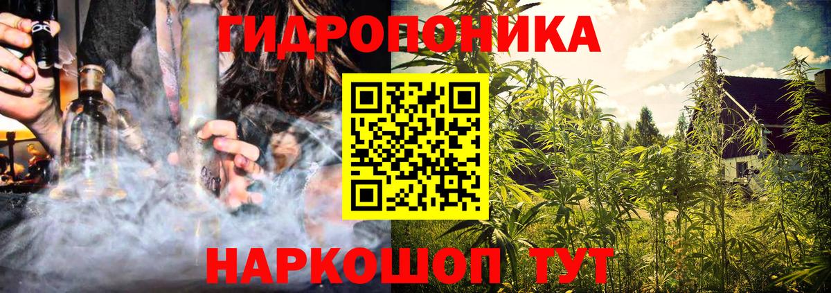 Канабис OG Kush Лянтор